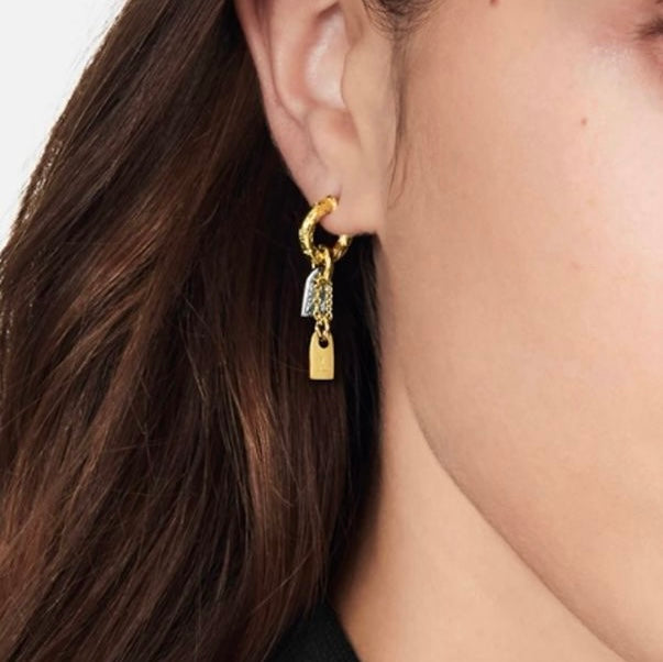 Boucles d’oreilles Louis Vuitton doré avec argenté